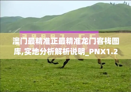 澳门最精准正最精准龙门客栈图库,实地分析解析说明_PNX1.24.31随行版