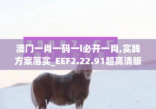 澳门一肖一码一l必开一肖,实践方案落实_EEF2.22.91超高清版