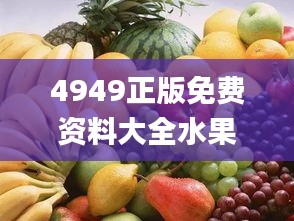 4949正版免费资料大全水果,精准解释执行落实_LWI1.34.75灵活版