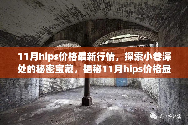 探索小巷深处的秘密宝藏，揭秘独家记忆中的11月hips价格最新行情