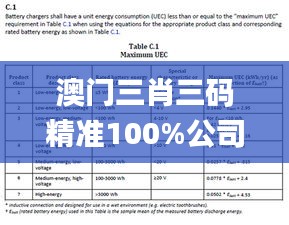 澳门三肖三码精准100%公司认证,执行验证计划_DEZ9.77.29高清晰度版