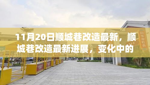 11月20日顺城巷改造最新，顺城巷改造最新进展，变化中的学习之路，自信与成就感的源泉