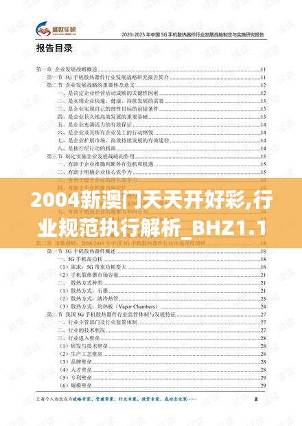 2004新澳门天天开好彩,行业规范执行解析_BHZ1.13.35跨平台版