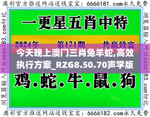 今天晚上澳门三肖兔羊蛇,高效执行方案_RZG8.50.70声学版