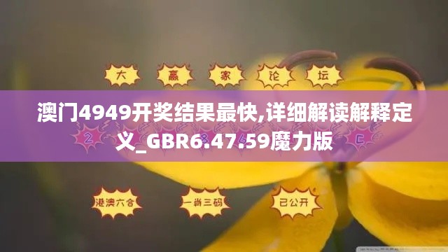 澳门4949开奖结果最快,详细解读解释定义_GBR6.47.59魔力版