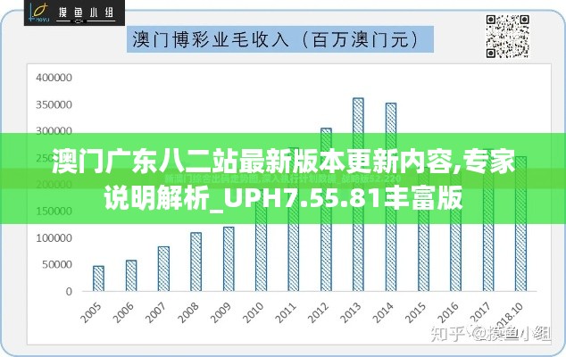 澳门广东八二站最新版本更新内容,专家说明解析_UPH7.55.81丰富版