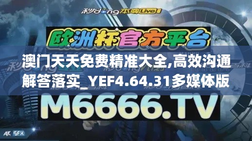 澳门天天免费精准大全,高效沟通解答落实_YEF4.64.31多媒体版