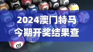 2024澳门特马今期开奖结果查询,实证解读说明_PPM6.53.81影音版