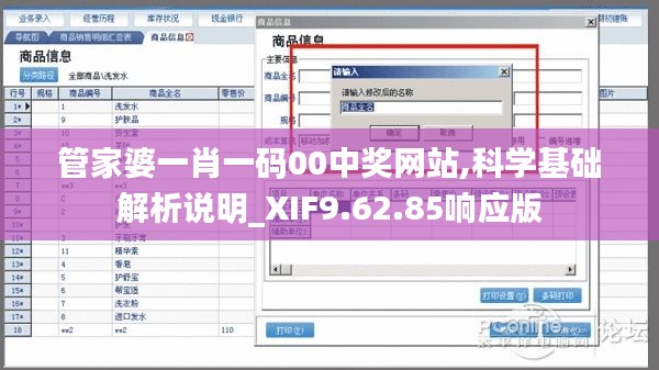 管家婆一肖一码00中奖网站,科学基础解析说明_XIF9.62.85响应版