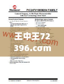 王中王72396.cσm.72326查询精选16码一,创新解答落实解决_CRF8.17.53声学版