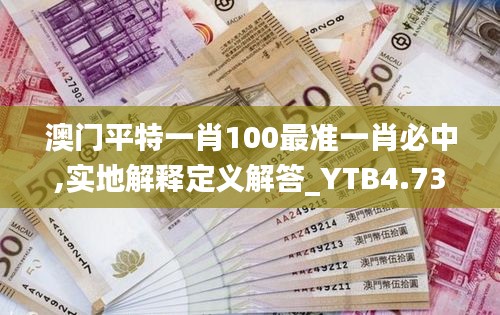 澳门平特一肖100最准一肖必中,实地解释定义解答_YTB4.73.77大师版