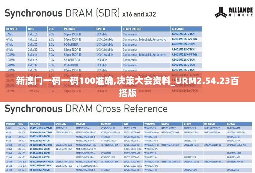 新澳门一码一码100准确,决策大会资料_URM2.54.23百搭版