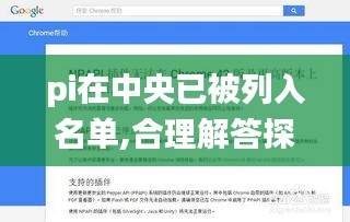 pi在中央已被列入名单,合理解答探讨解释路径_JOD5.51.40便携版