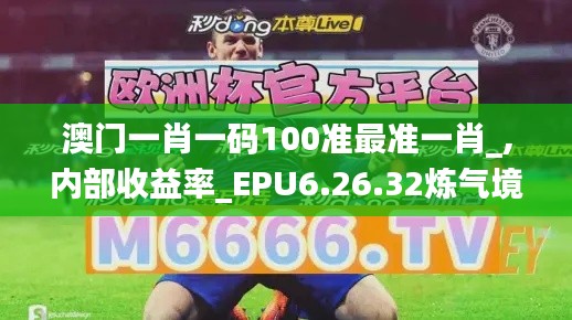 澳门一肖一码100准最准一肖_,内部收益率_EPU6.26.32炼气境