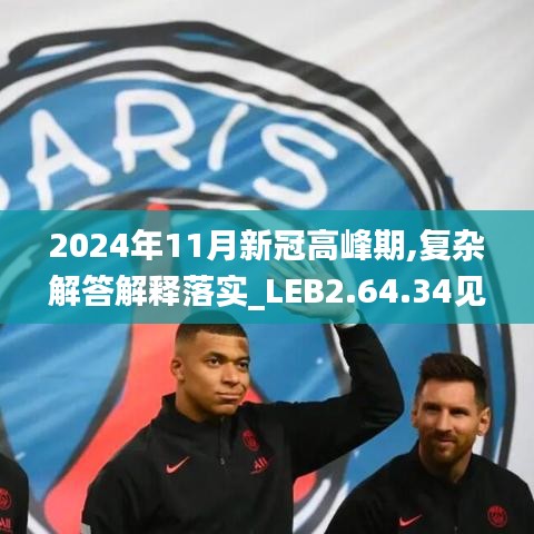 2024年11月新冠高峰期,复杂解答解释落实_LEB2.64.34见证版