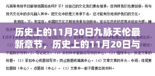 历史上的11月20日与九脉天伦，最新章节深度解析及观点阐述