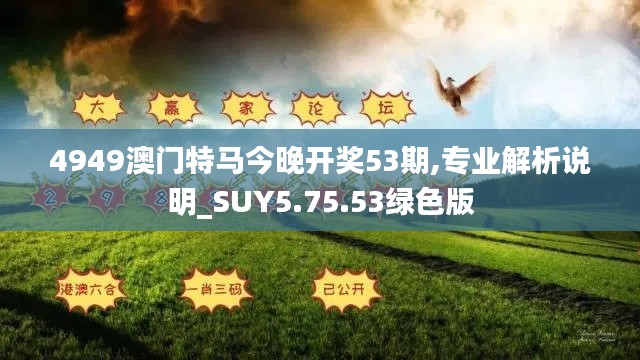 4949澳门特马今晚开奖53期,专业解析说明_SUY5.75.53绿色版