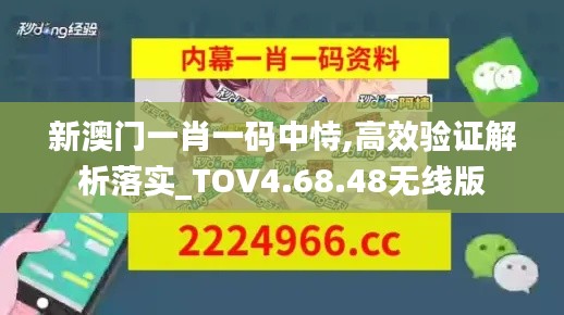 新澳门一肖一码中恃,高效验证解析落实_TOV4.68.48无线版