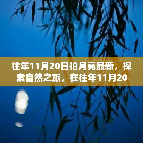 往年11月20日探月之旅，月光下的自然探索与心灵宁静之旅