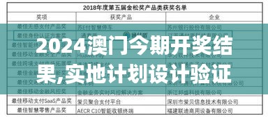 2024澳门今期开奖结果,实地计划设计验证_VDC3.24.23互动版