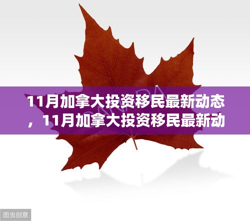 11月加拿大投资移民最新动态，11月加拿大投资移民最新动态及其影响——某某观点分析