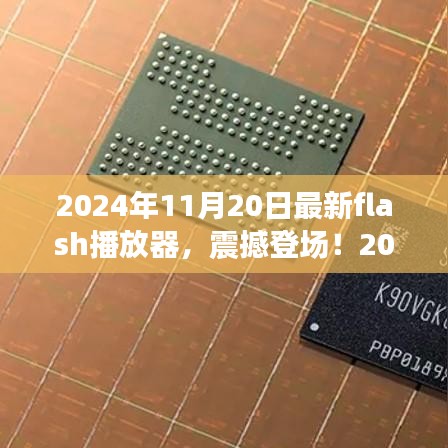 2024年11月20日最新flash播放器，震撼登场！2024年最新Flash播放器——科技巅峰之作，重塑视听体验！