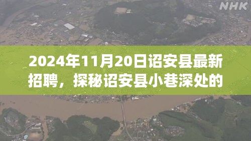 诏安县职业奇遇记，探寻小巷深处的隐藏宝藏与最新招聘资讯（2024年11月20日）