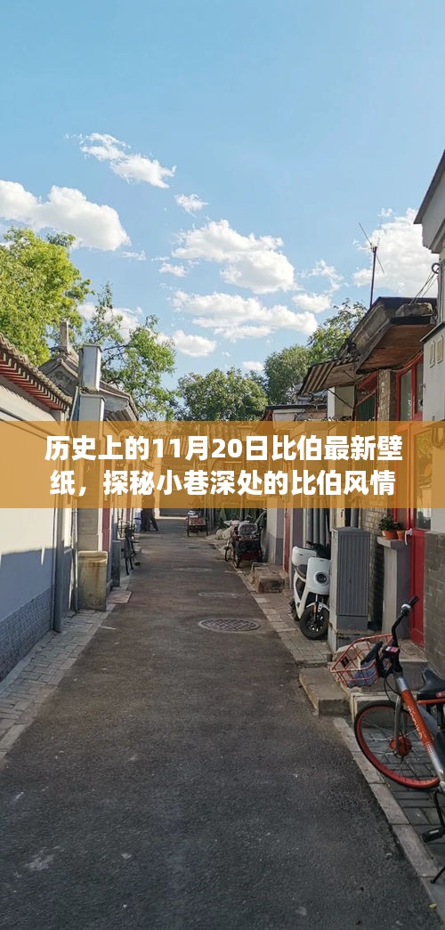 历史上的11月20日，探索比伯风情壁纸店，独特壁纸之旅