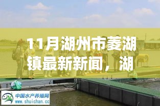 11月湖州市菱湖镇最新新闻，湖州市菱湖镇发展动态，聚焦最新新闻，探讨某某观点