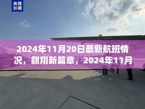 翱翔新篇章，2024年11月20日航班最新动态及我们的成长之旅