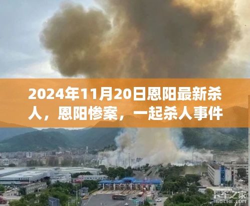 2024年11月20日恩阳最新杀人，恩阳惨案，一起杀人事件引发的深度思考