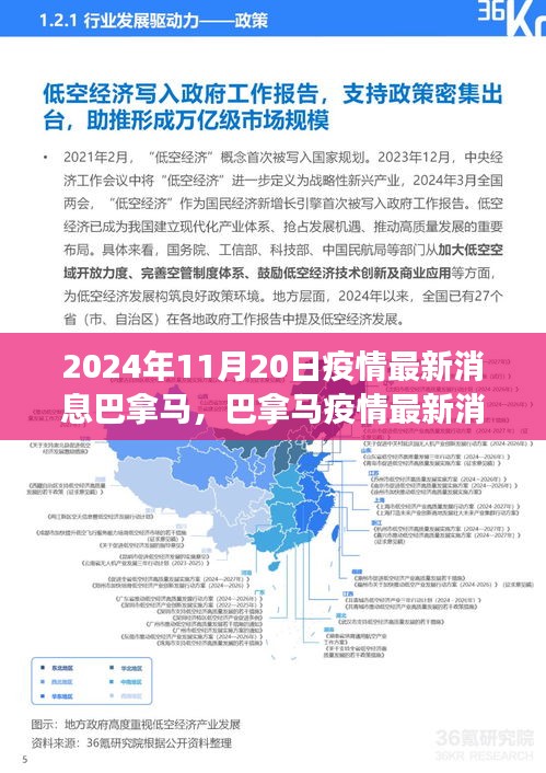 2024年11月20日巴拿马疫情最新消息全面解读，特性、体验、竞品对比及用户群体分析