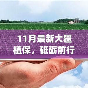 11月最新大疆植保，砥砺前行，与变革共舞——揭秘大疆植保背后的故事与你的无限可能