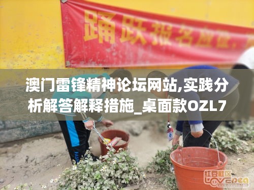 澳门雷锋精神论坛网站,实践分析解答解释措施_桌面款OZL7.58