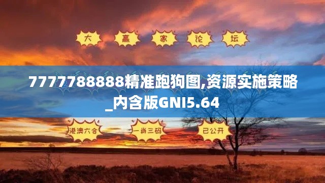 7777788888精准跑狗图,资源实施策略_内含版GNI5.64