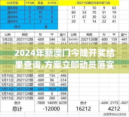 2024年新澳门今晚开奖结果查询,方案立即动员落实_兼容版FSB2.31