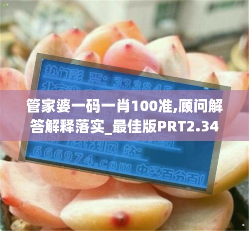 管家婆一码一肖100准,顾问解答解释落实_最佳版PRT2.34