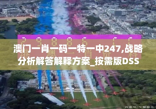 澳门一肖一码一特一中247,战略分析解答解释方案_按需版DSS2.67