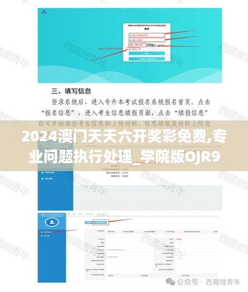 2024澳门天天六开奖彩免费,专业问题执行处理_学院版OJR9.31
