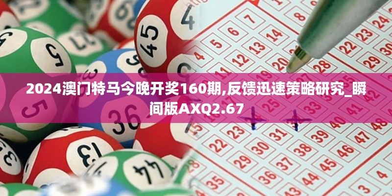 2024澳门特马今晚开奖160期,反馈迅速策略研究_瞬间版AXQ2.67