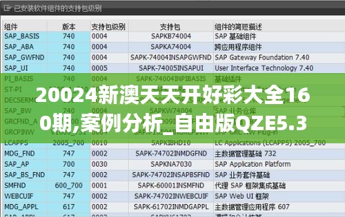 20024新澳天天开好彩大全160期,案例分析_自由版QZE5.30