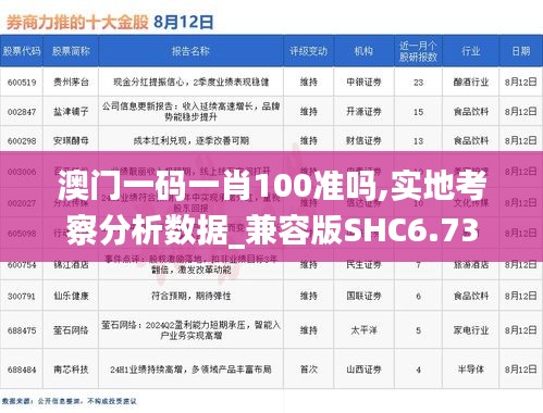 澳门一码一肖100准吗,实地考察分析数据_兼容版SHC6.73