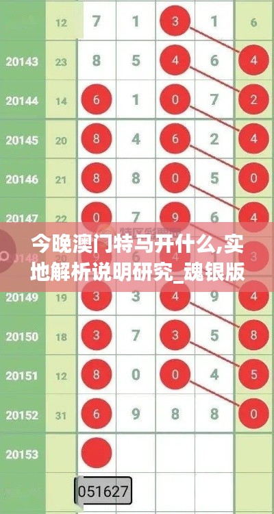 今晚澳门特马开什么,实地解析说明研究_魂银版SHO3.70