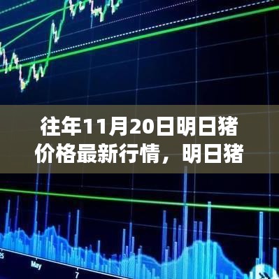 往年11月20日明日猪价格最新行情，明日猪价格最新行情深度解析，回顾十一月二十日的行业风云变幻