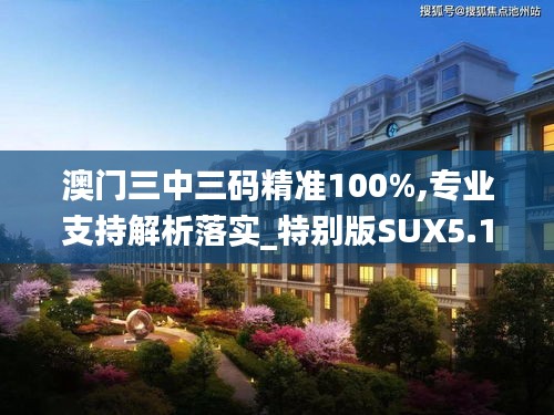 澳门三中三码精准100%,专业支持解析落实_特别版SUX5.10