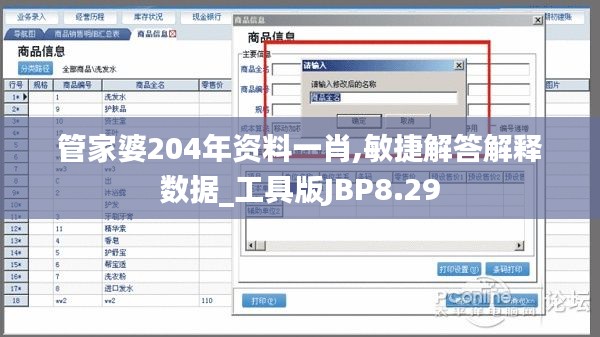 管家婆204年资料一肖,敏捷解答解释数据_工具版JBP8.29