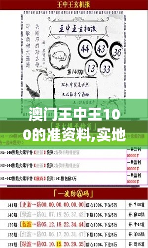 澳门王中王100的准资料,实地评估说明_驱动版AUE5.66