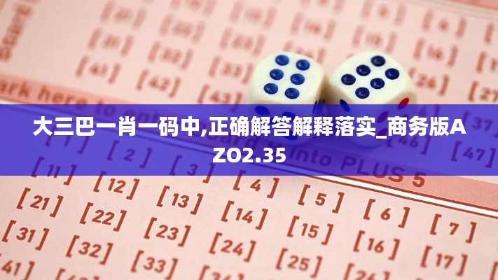 大三巴一肖一码中,正确解答解释落实_商务版AZO2.35