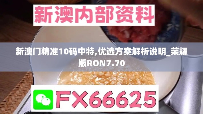 新澳门精准10码中特,优选方案解析说明_荣耀版RON7.70