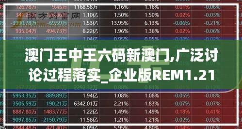 澳门王中王六码新澳门,广泛讨论过程落实_企业版REM1.21